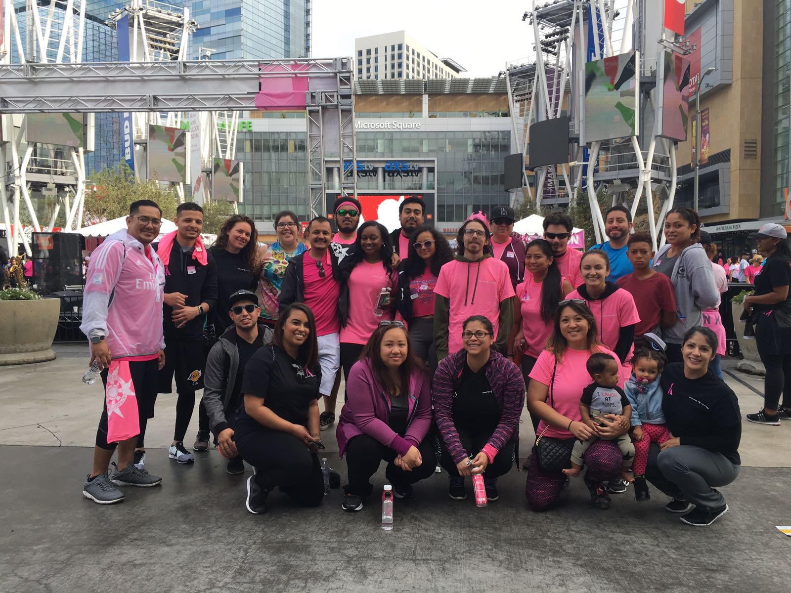Making Strides Against Breast Cancer Walk – 2016