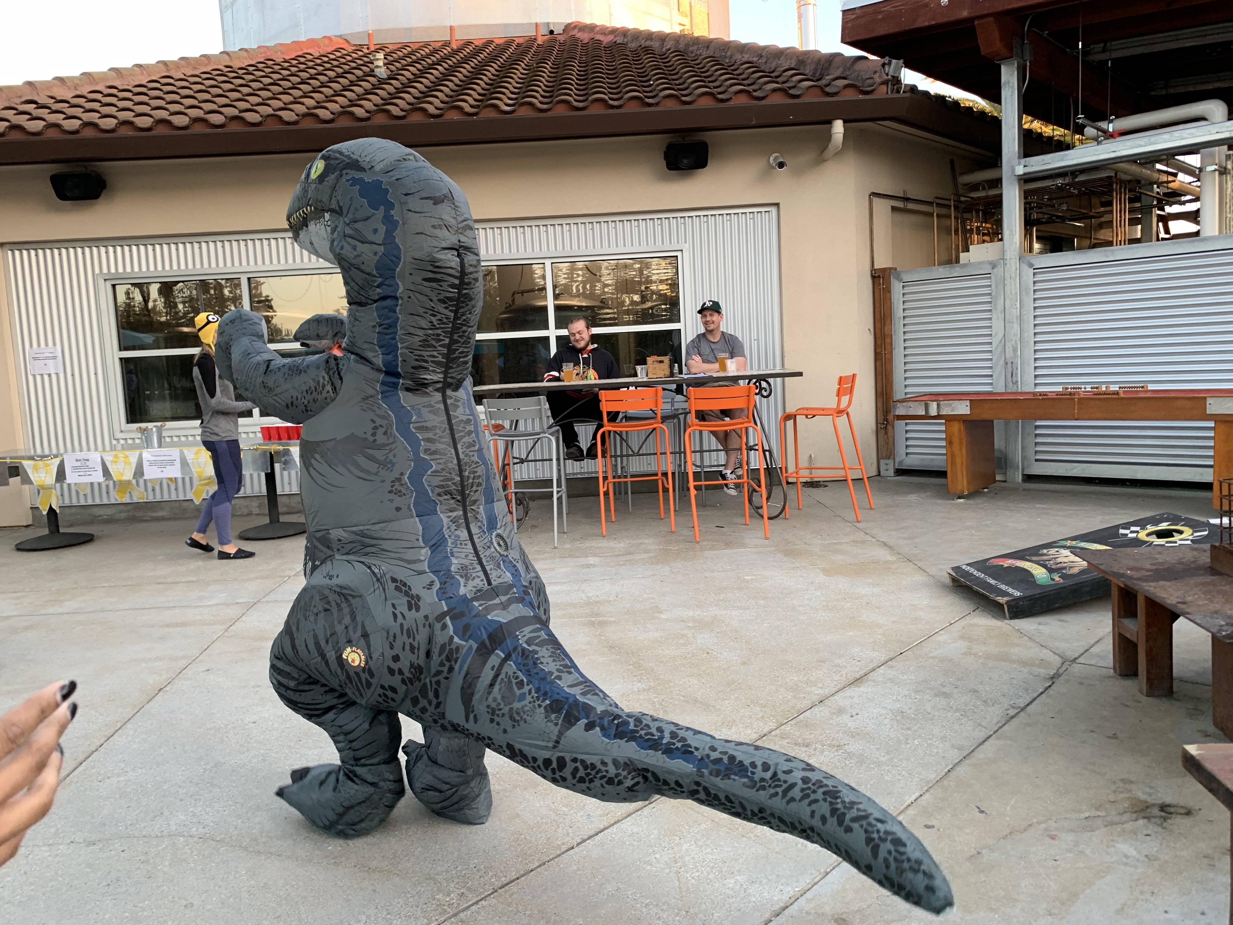 American End of Endo Project