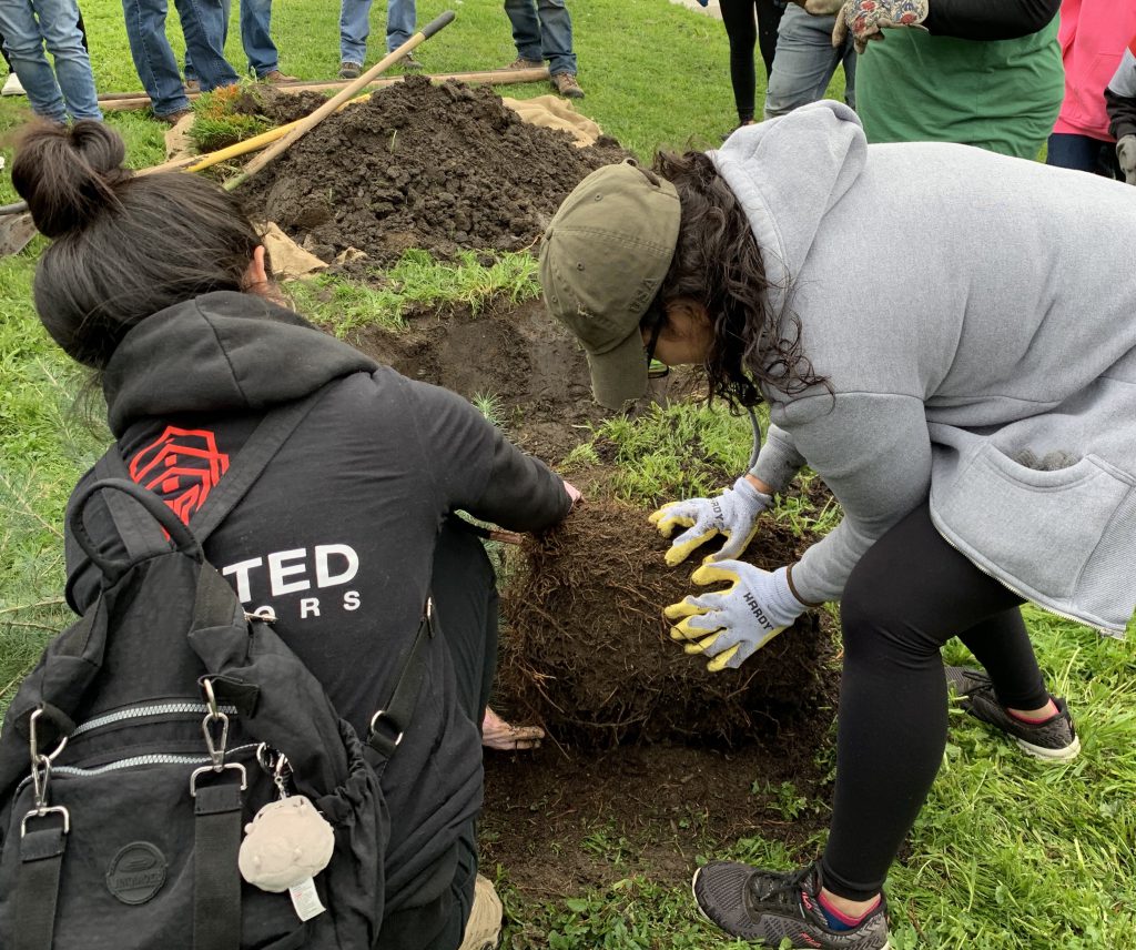 Valley Hi Park Tree Planting